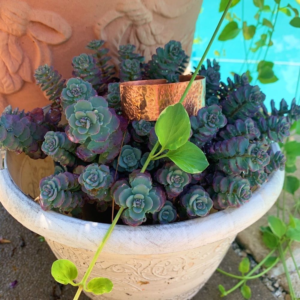 Copper Adjustable Bangle With Hammered Texture - image 1